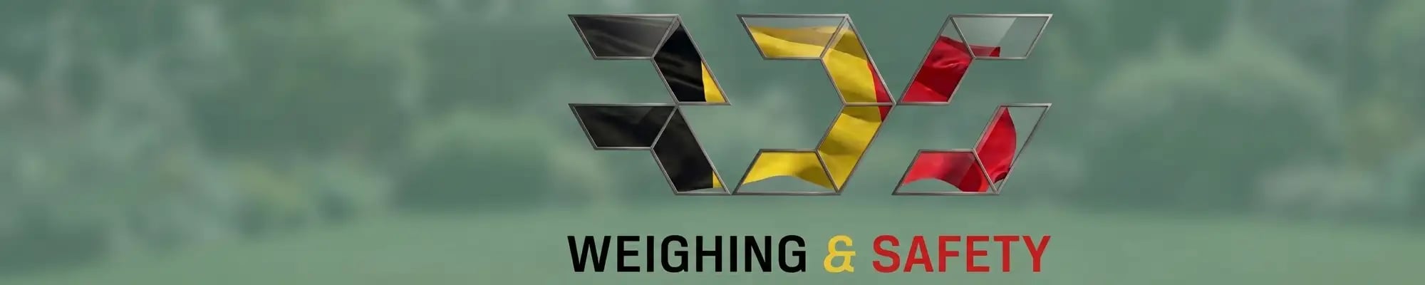 Dit is een banner met het logo van RDS Weighing & Safety iin de Belgsiche kleuren
